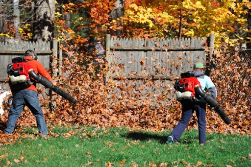 شركة تنسيق حدائق في ام القيوين