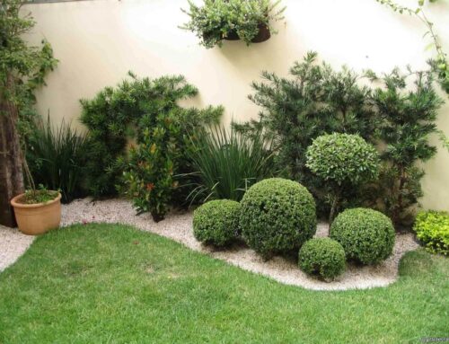 شركة تنسيق حدائق في دبي |0506691641 |صيانة الحدائق